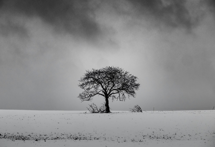 leafless-tree-snowy-hill-with-cloudy-sky-background-black-white