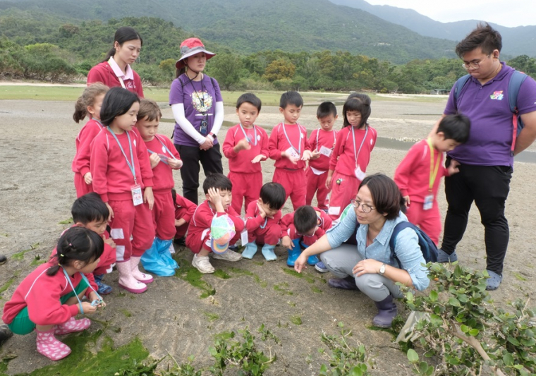 東涌幼兒學校「森林學校」戶外活動